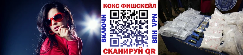 купить закладку  Александровск-Сахалинский  COCAIN Эквадор 