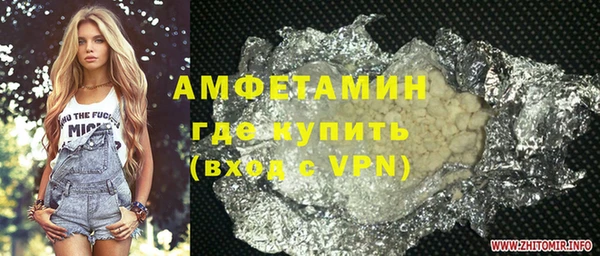 шишки Абаза