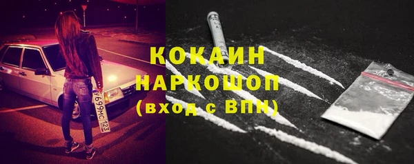 шишки Абаза