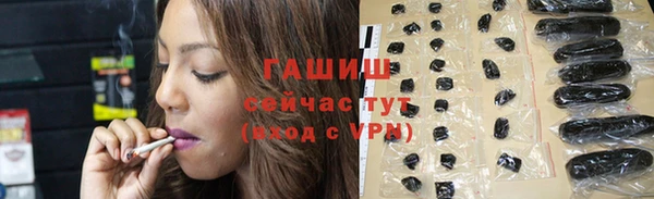 шишки Абаза