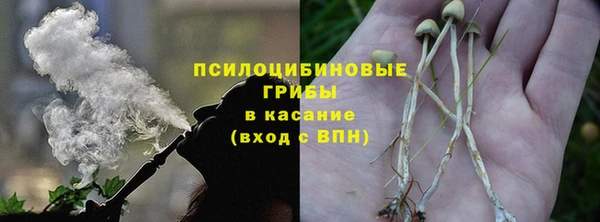шишки Абаза