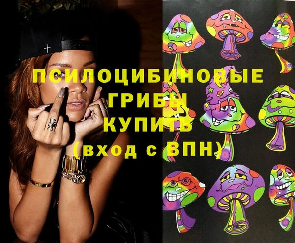 шишки Абаза