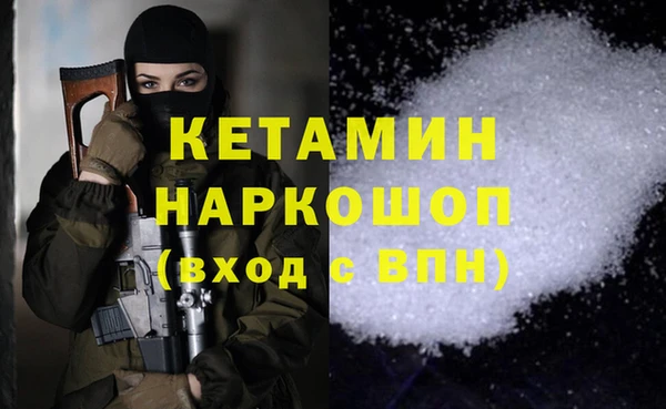 шишки Абаза