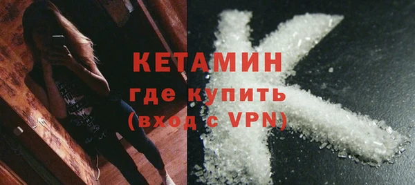 шишки Абаза